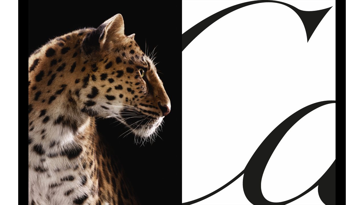 Cartier celebra una nueva campaña protagonizada por la icónica pantera