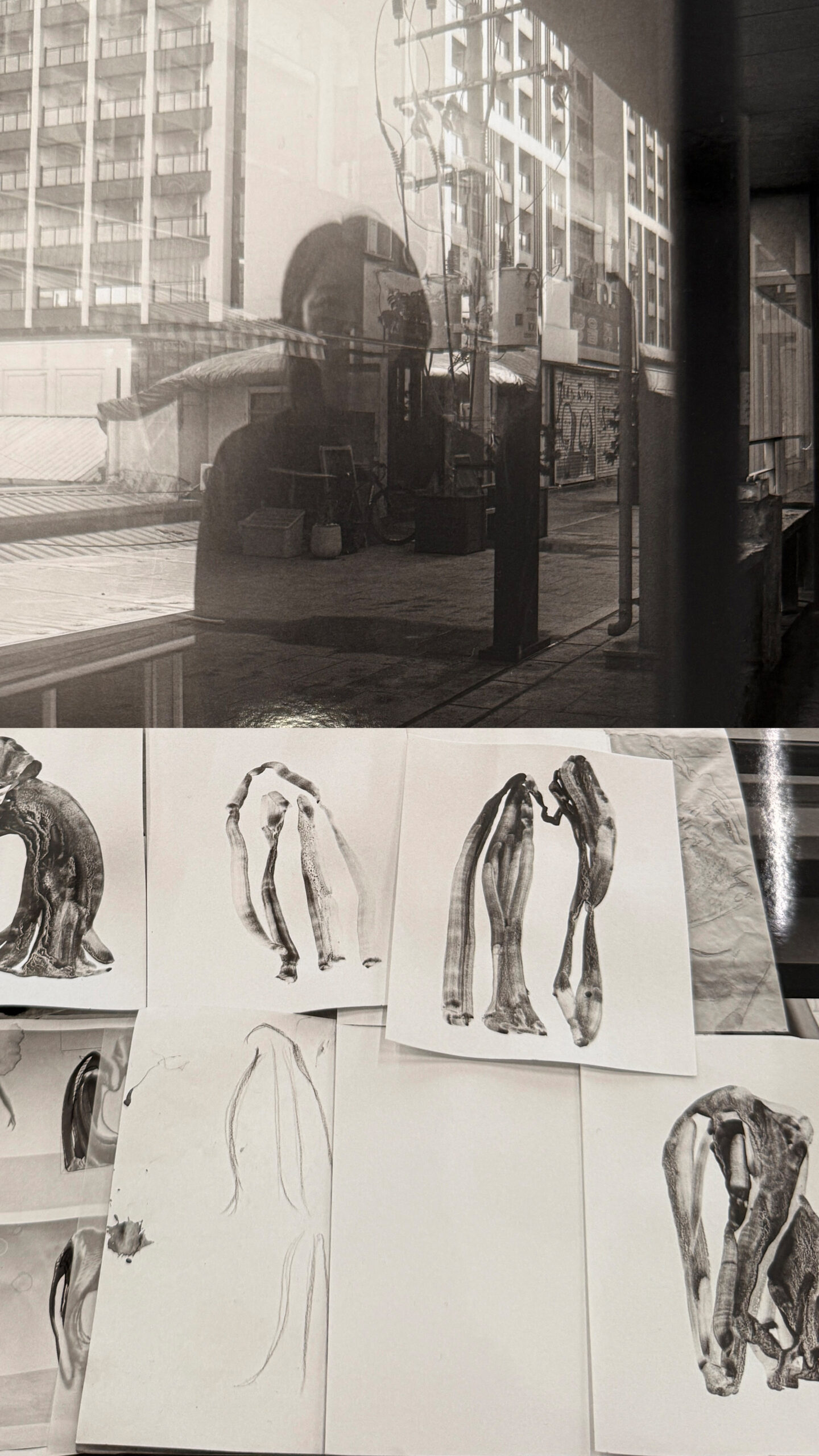 Maison Margiela Line 2 Revoluciona