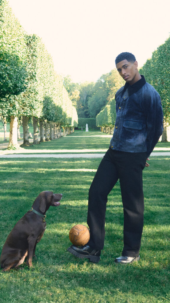 Louis Vuitton eleva el estilo de mascotas