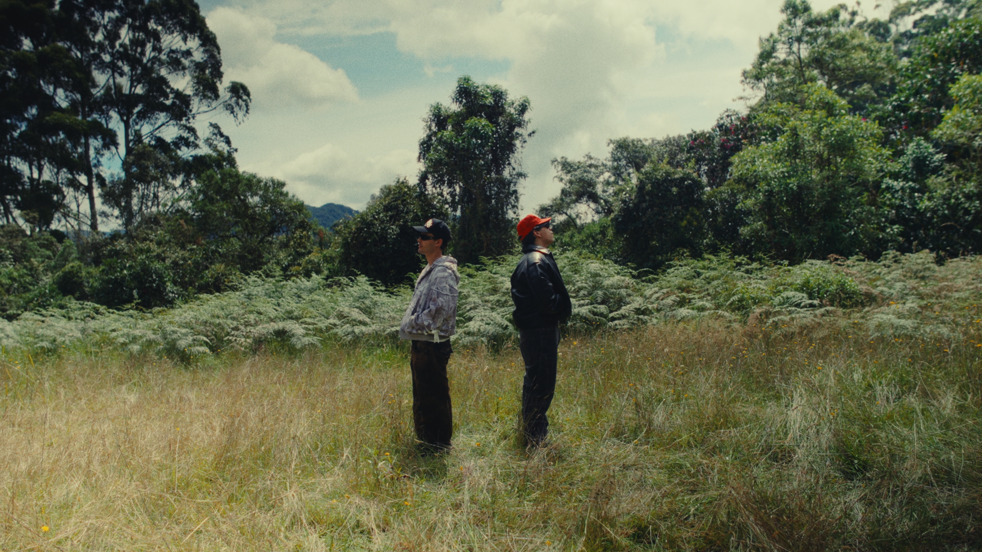 MAGNA y No Te Vayas Aunque Te Lo Pida: Vulnerabilidad Sin Filtros