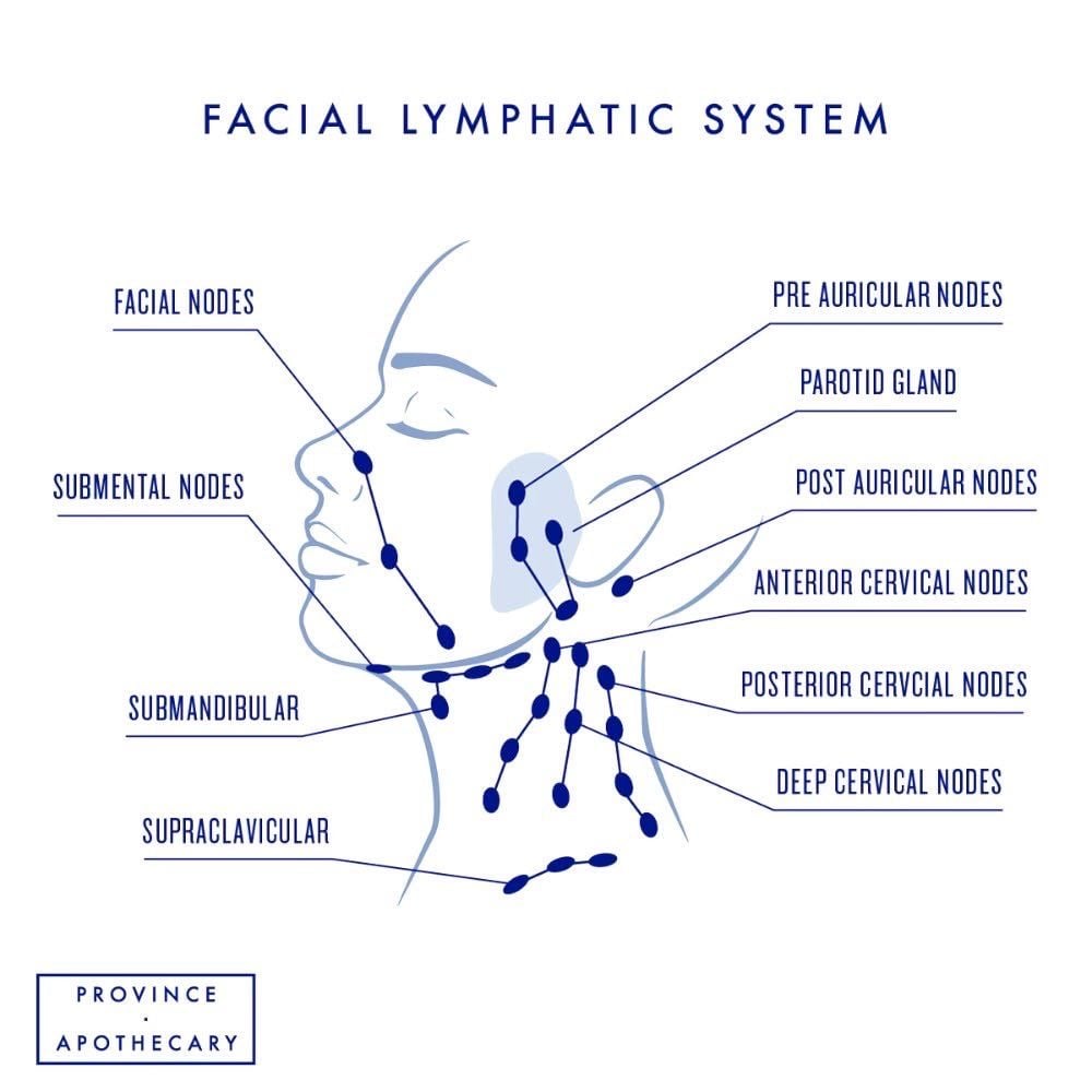 Por qué el drenaje linfático debería ser parte de tu rutina diaria