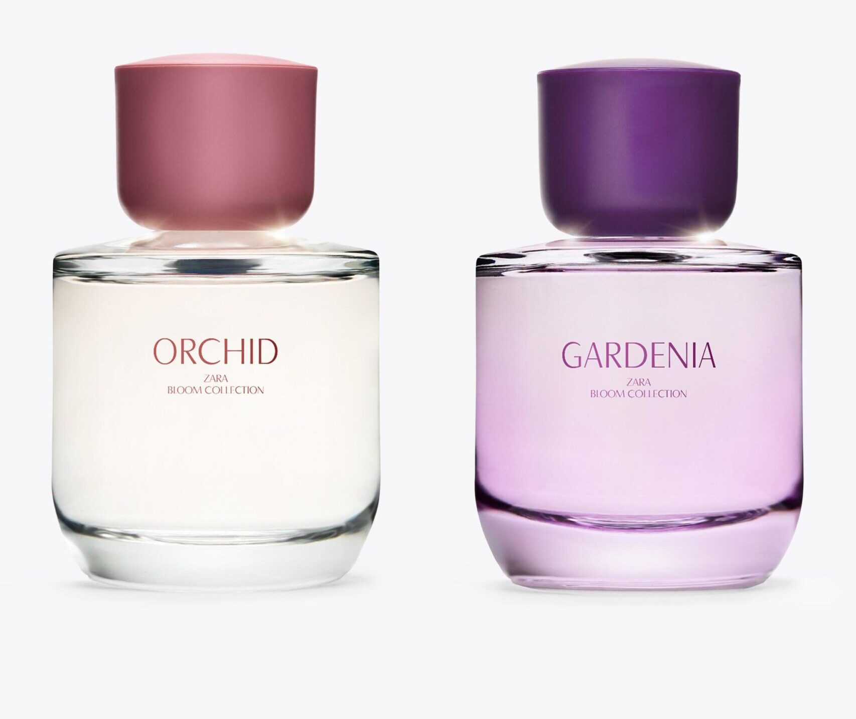 Gardenia, perfume de Zara