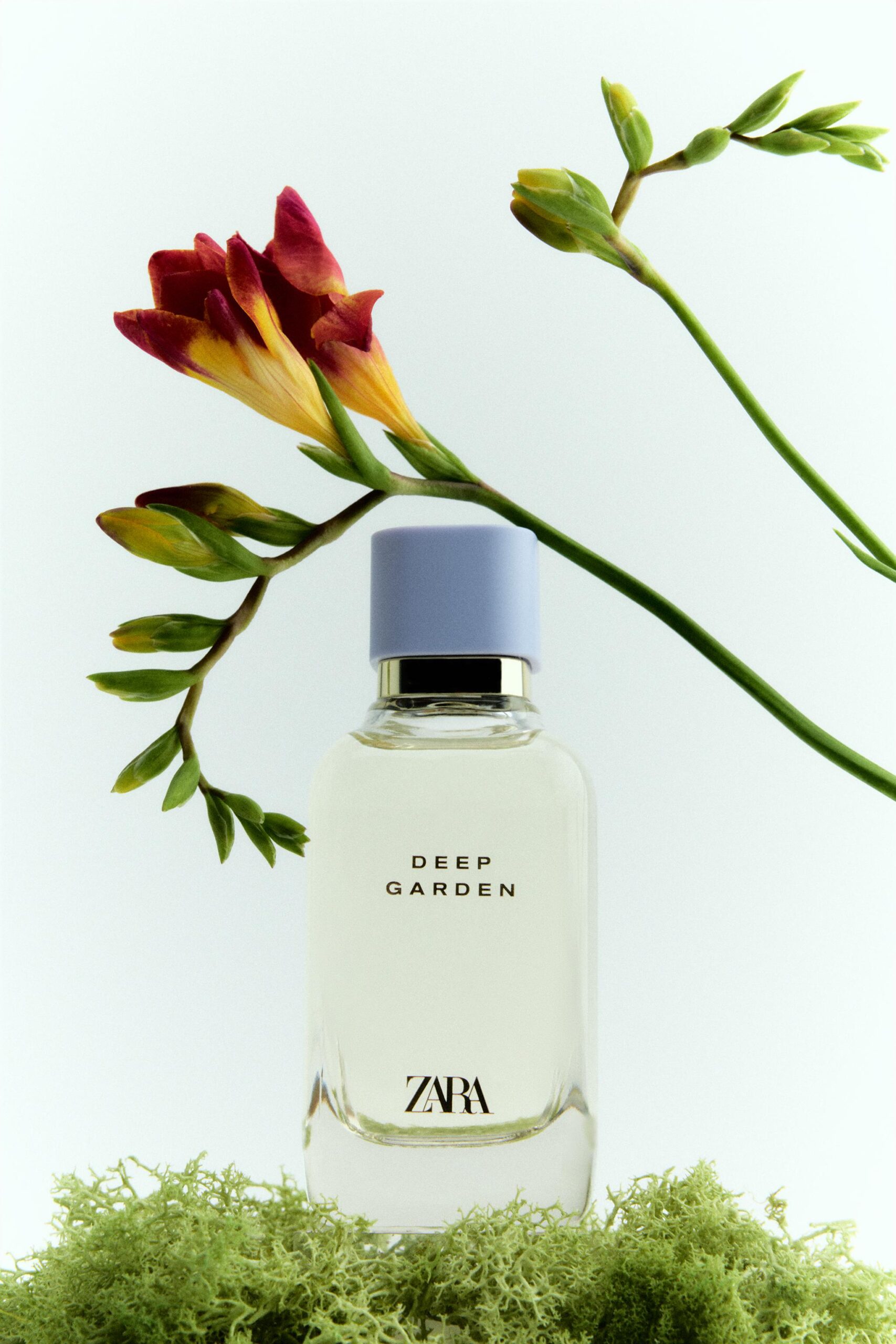 perfume de Zara Deep Garden