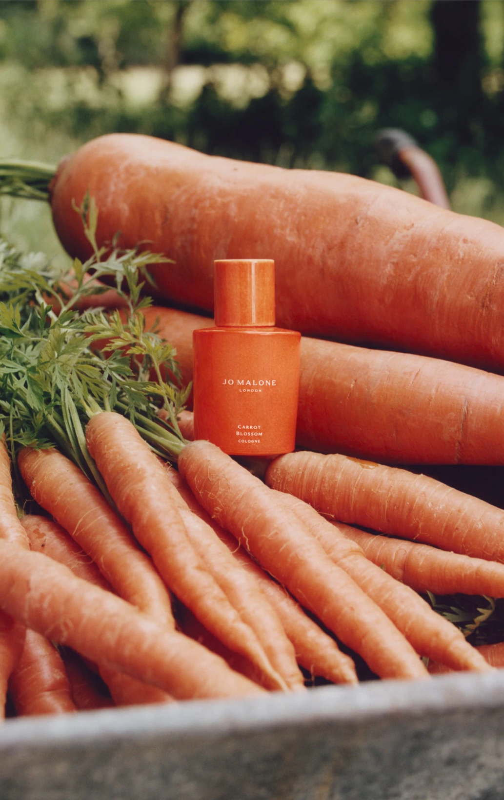 Los 6 mejores perfumes vegetales que marcan tendencia este año