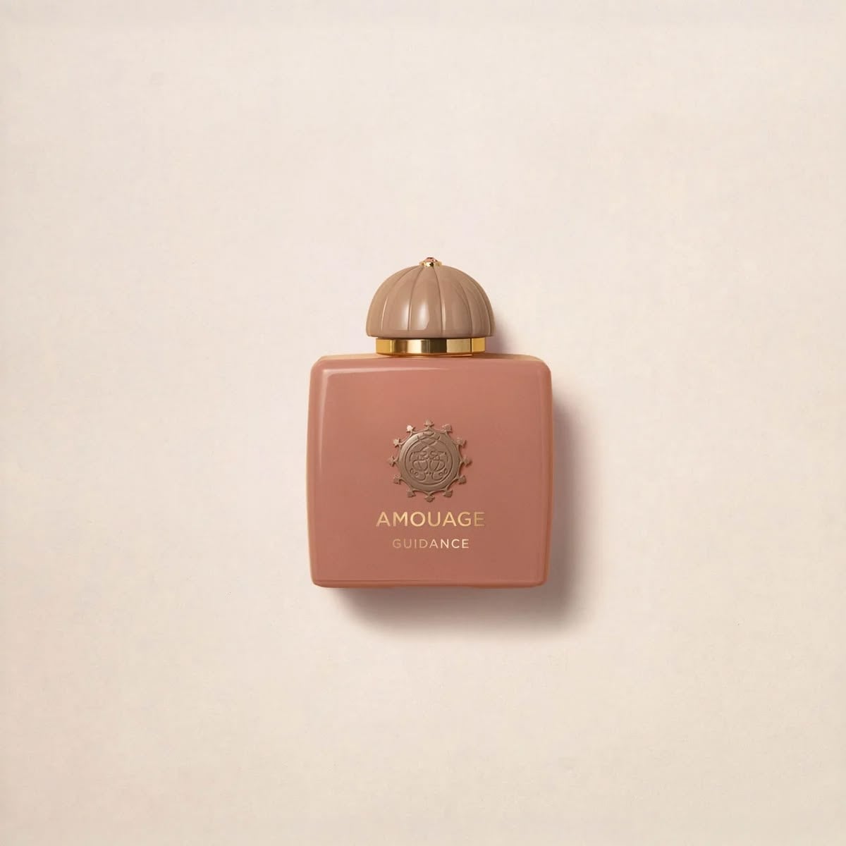 perfume guidance 