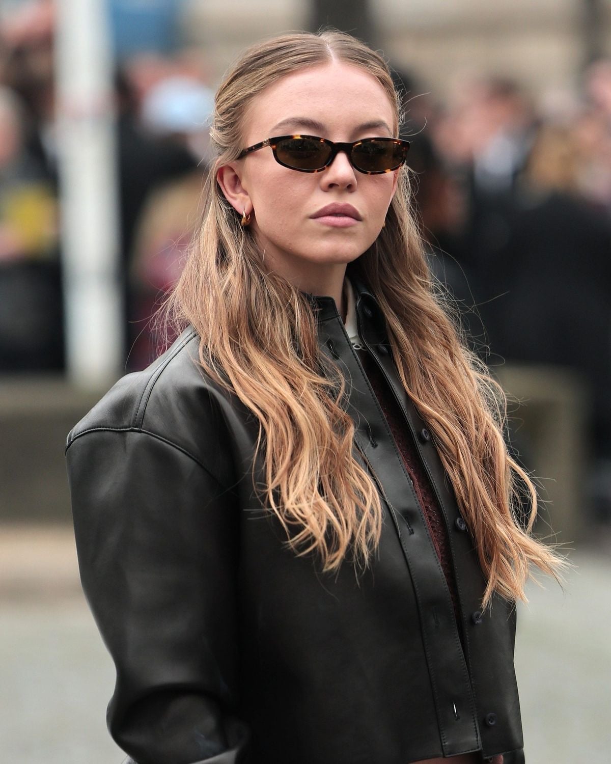 Sydney Sweeney peinado