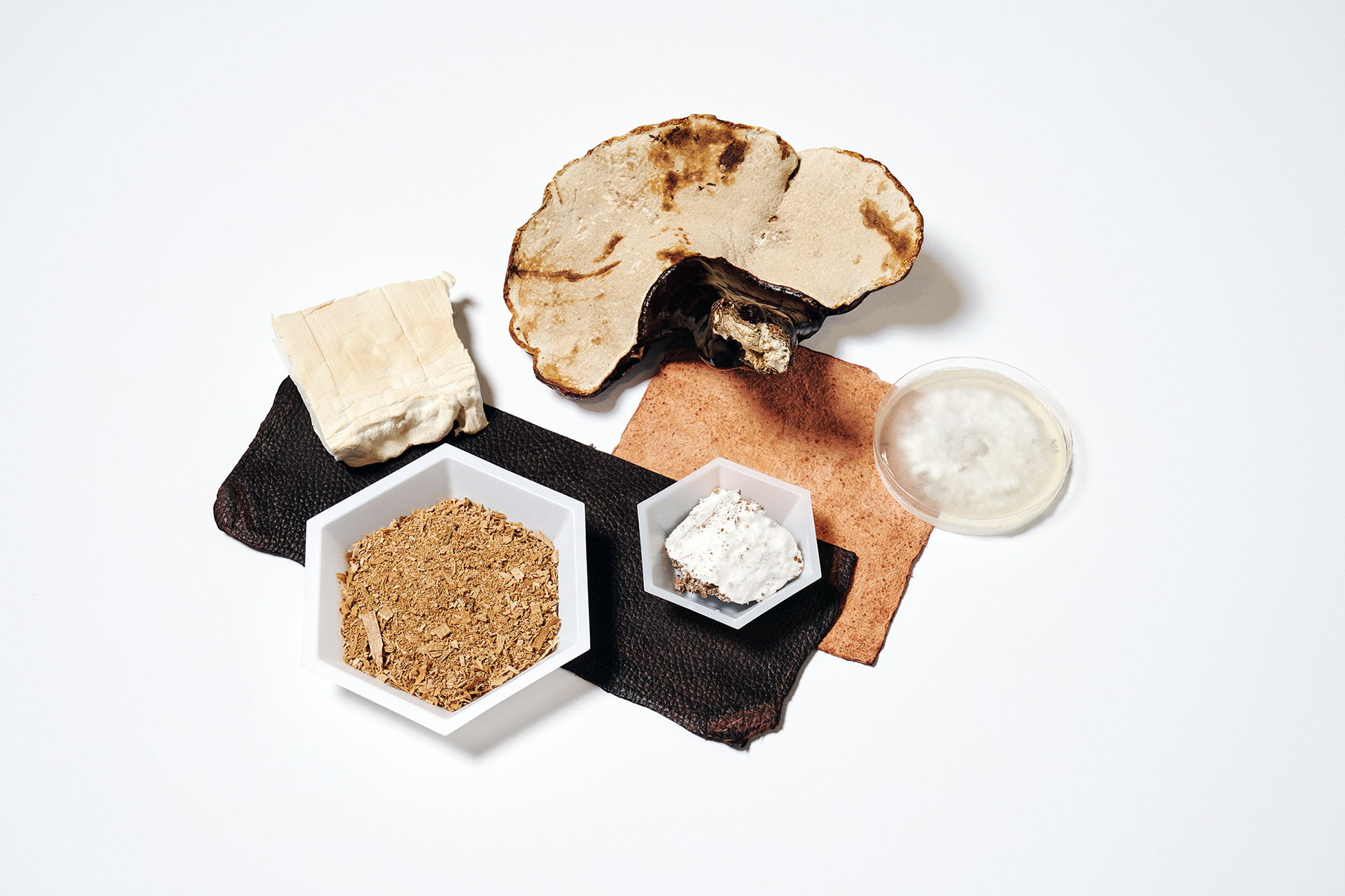 Mylo Mushroom Leather Holds Promise For Sustainable Fashion Grazia mylo-mushroom-leather-holds-promise-for-sustainable-fashion-grazia