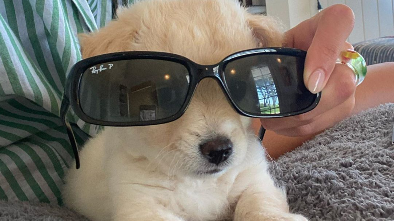 Kaia Gerber Sunglasses Puppy