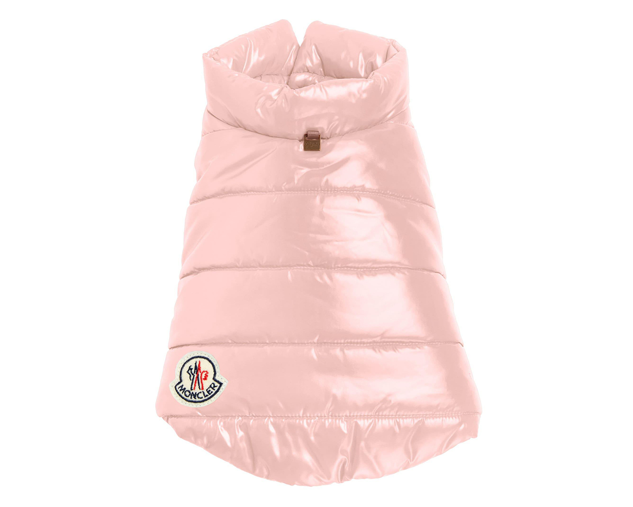 Best Luxury Dog Accessories Collars, Vests, Leashes and More Grazia