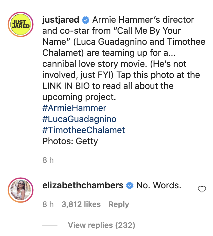 Elizabeth Chambers Armie Hammer