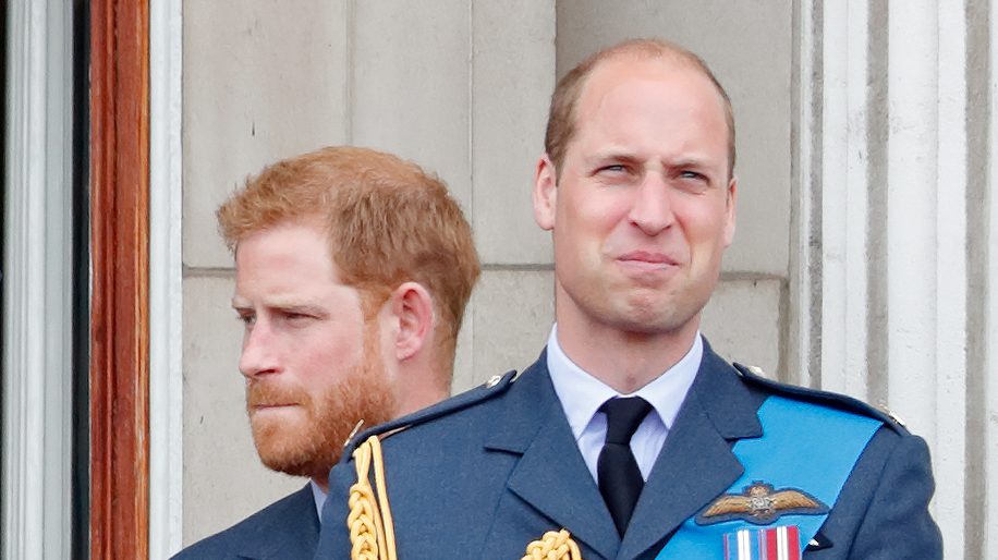 William and Harry Speak Out About Probe Into BBC's Diana Interview