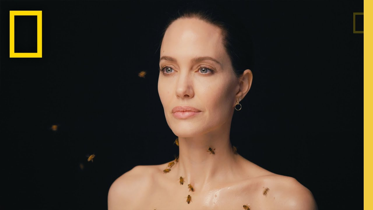Angelina Jolie