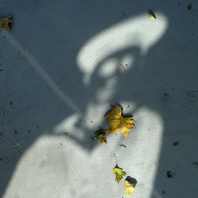 Artwork-Shadows