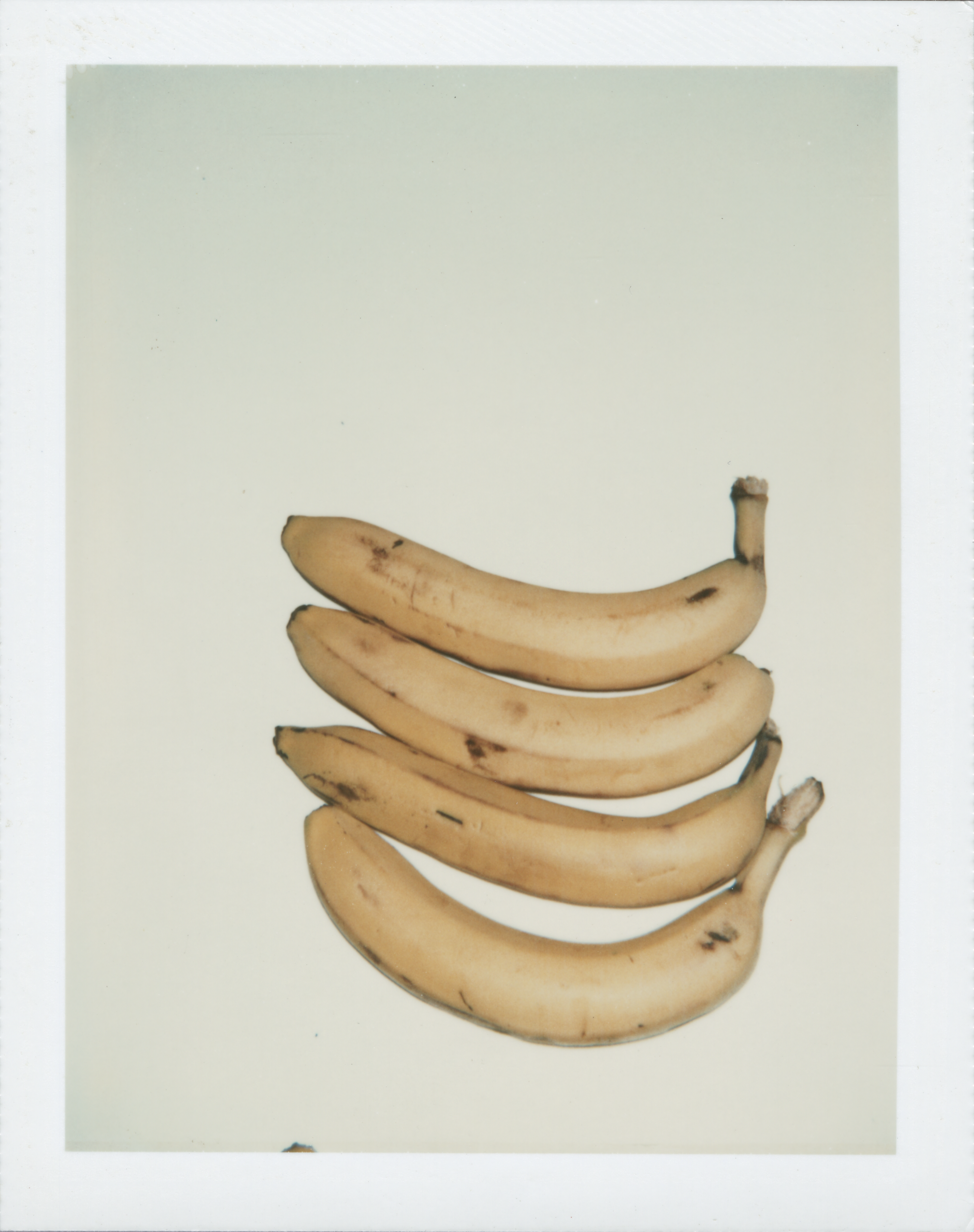 Andy Warhol