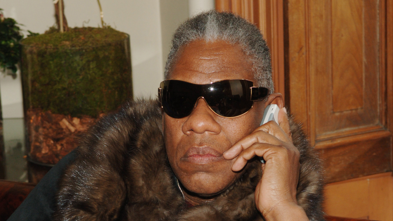 The André Leon Talley Dictionary of Fashion
