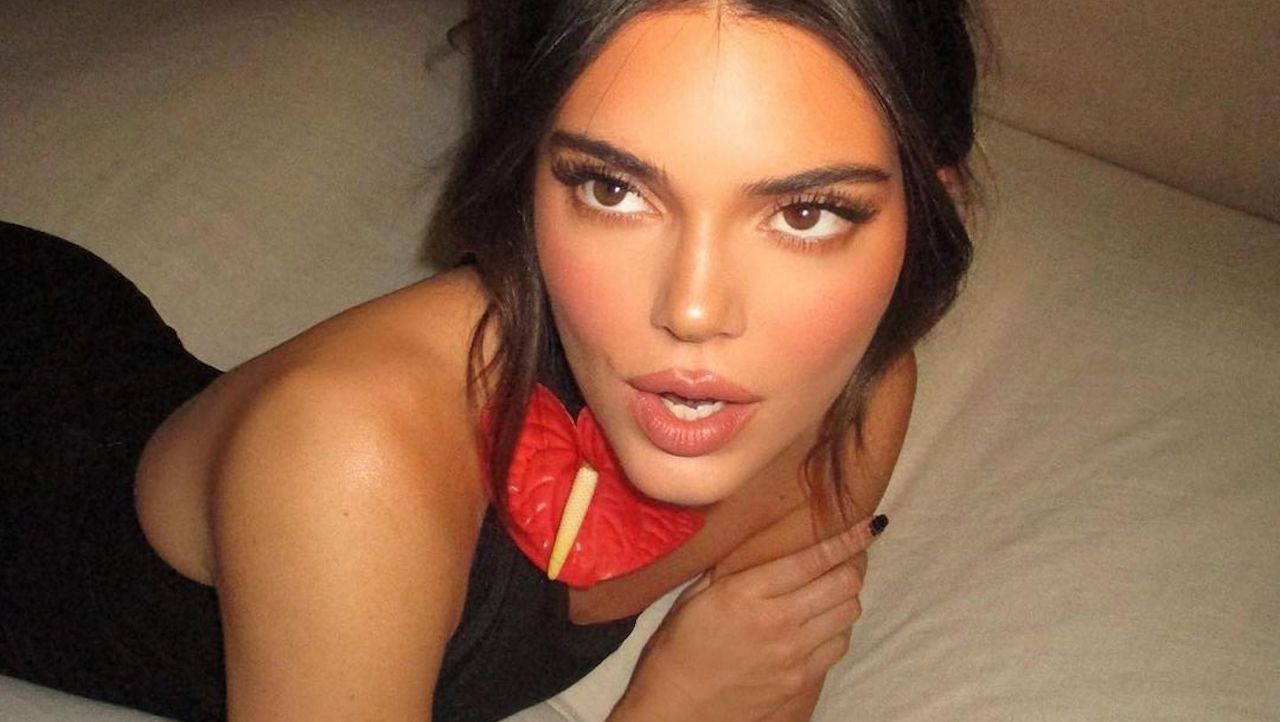 Kendall Jenner Blush Placement