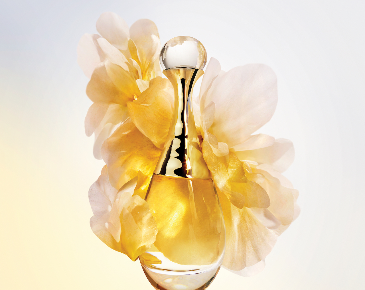 Dior J'adore Exhibition: A Fragrant Celebration in Paris