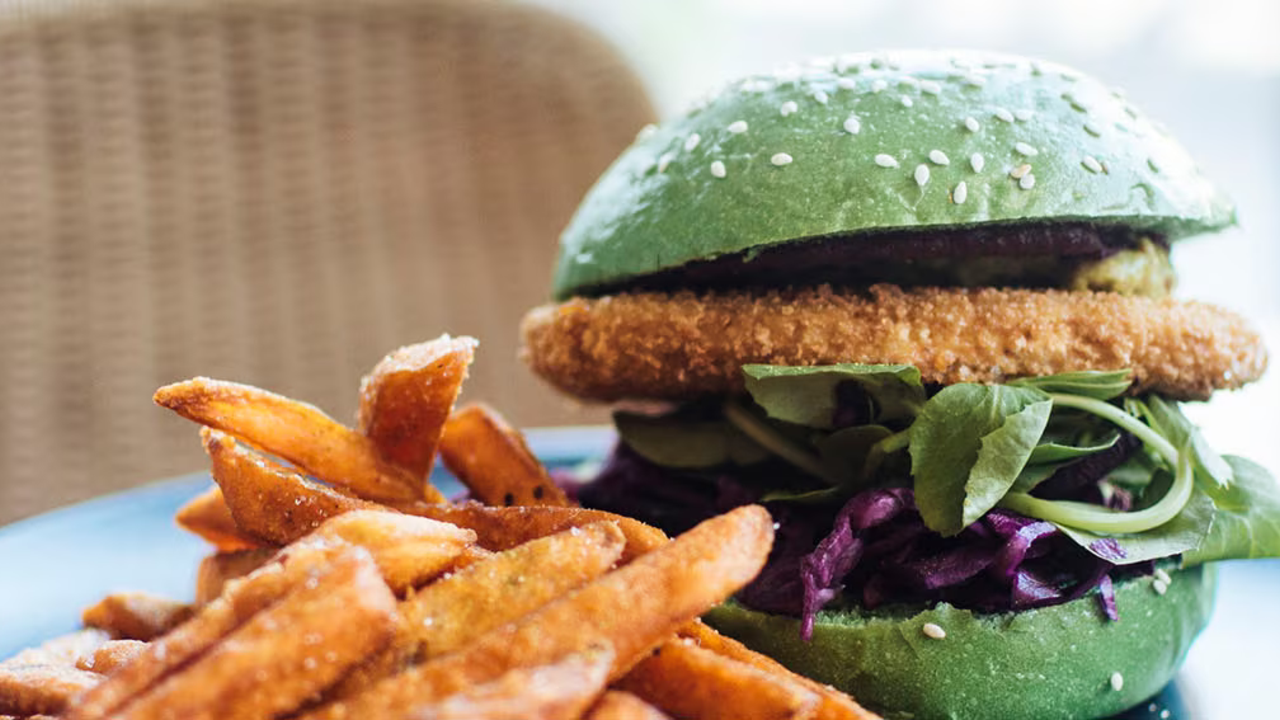 vegan-diet-food-burger-fries-health