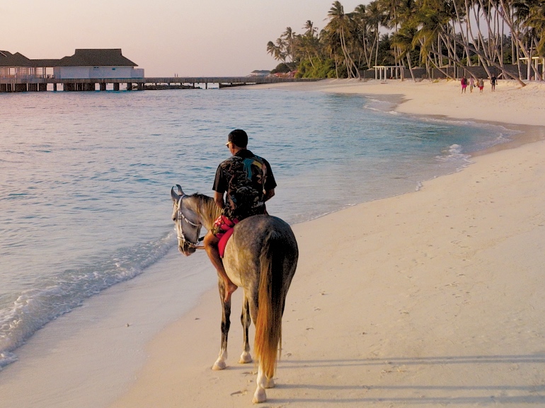 beach-horse-riding-sunset-sunrise