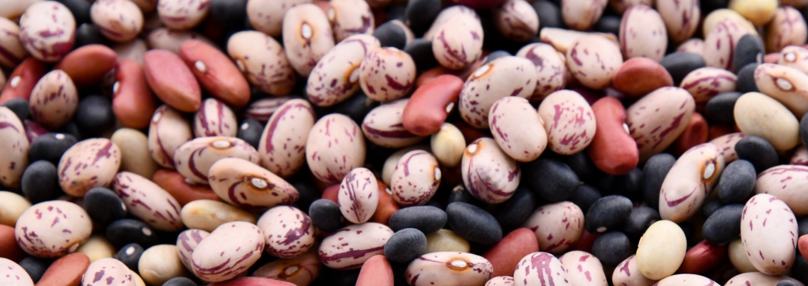 legumes-food-nutrition-health-diet-weight-loss