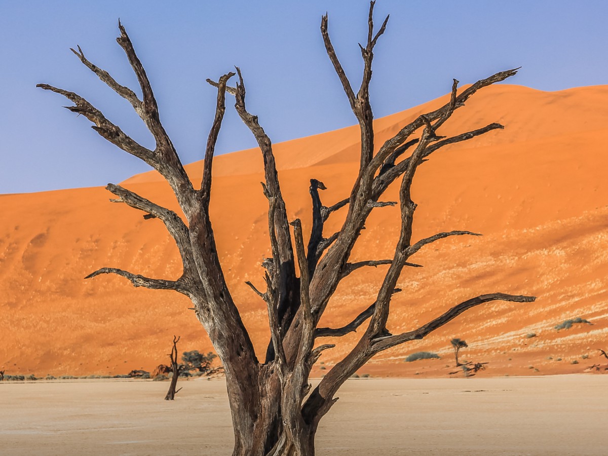 Deadvlei-Namibia