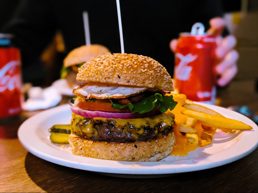 burger-fries-food-junkfood