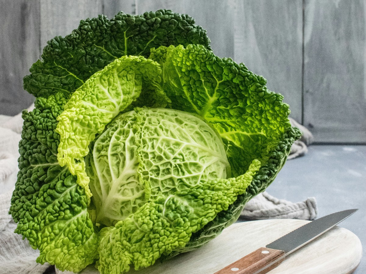cabbage-salad-nutrition
