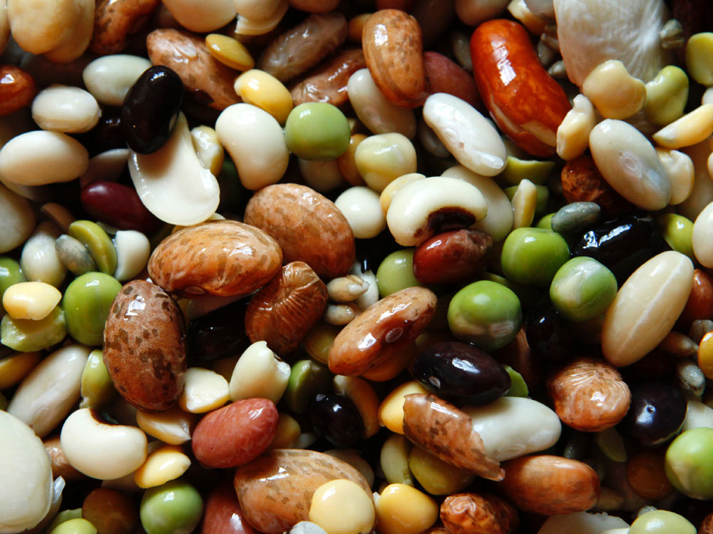 legumes-chickpeas-beans