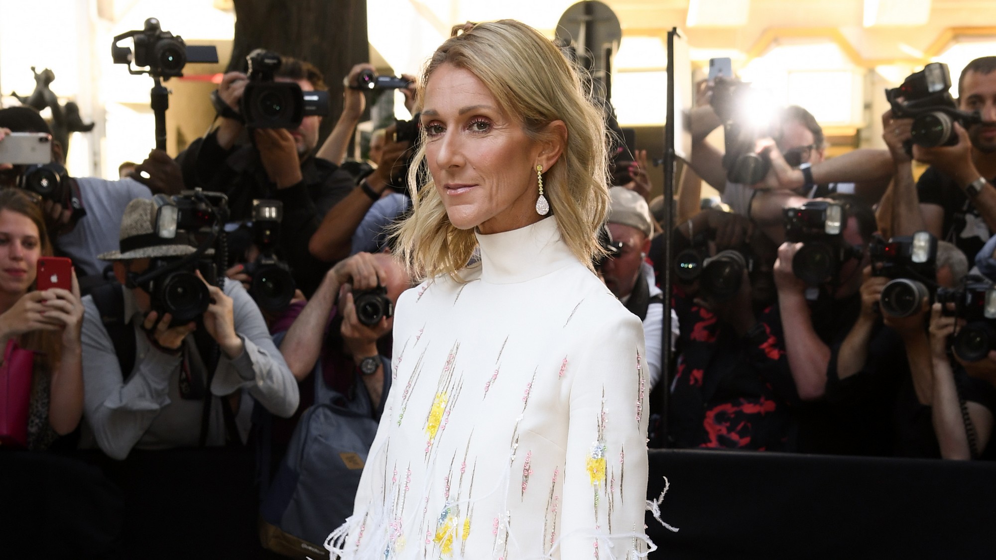 Céline Dion suffered in silence for over fifteen years before identifying the illness she has.