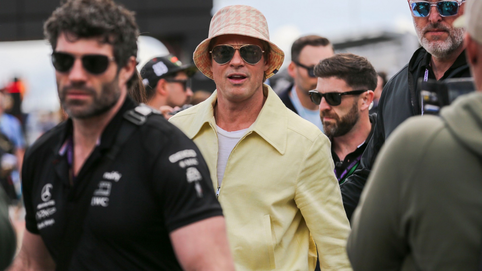 Brad Pitt and Ines de Ramon Make It Official, Spotted Holding Hands