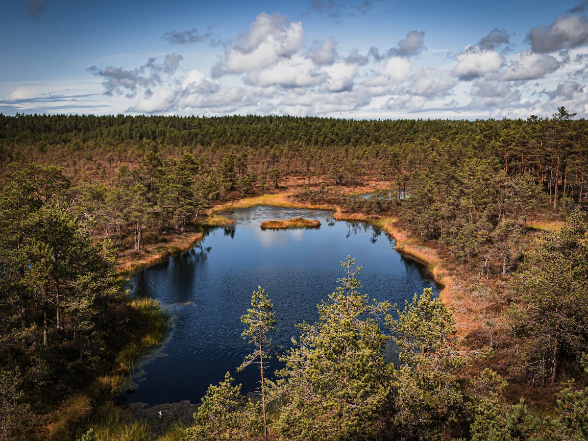 lahemaa-national-park