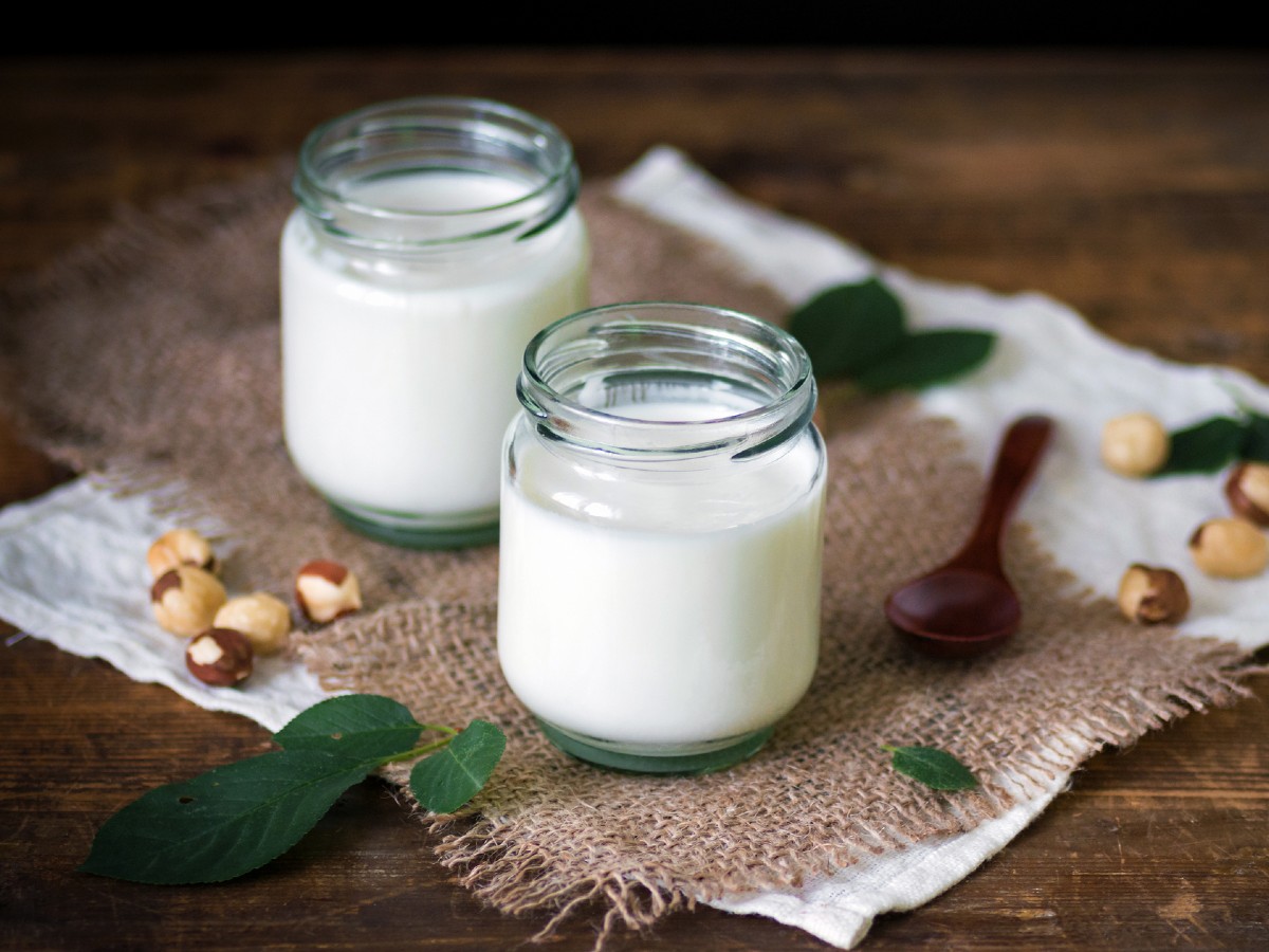 yogurt
