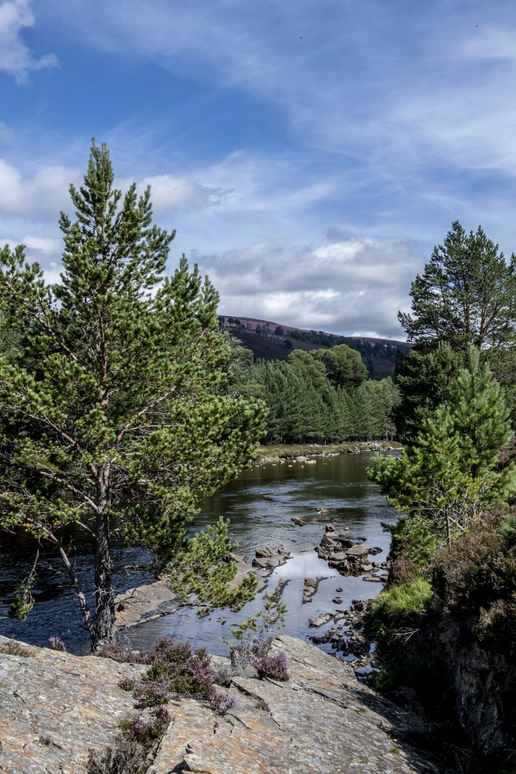 The Fife Arms A MustVisit Destination in Scotland for Art & History