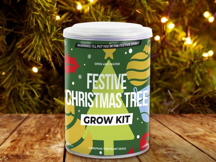 christmas-decor-gold-grow-kit
