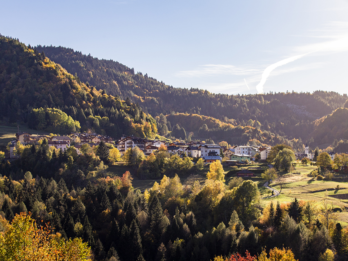 foliage-trees-nature-residential-areas-sun-wellness-weekend