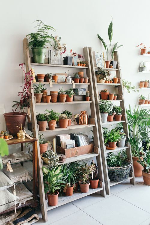 home-decor-plants-green-fresh