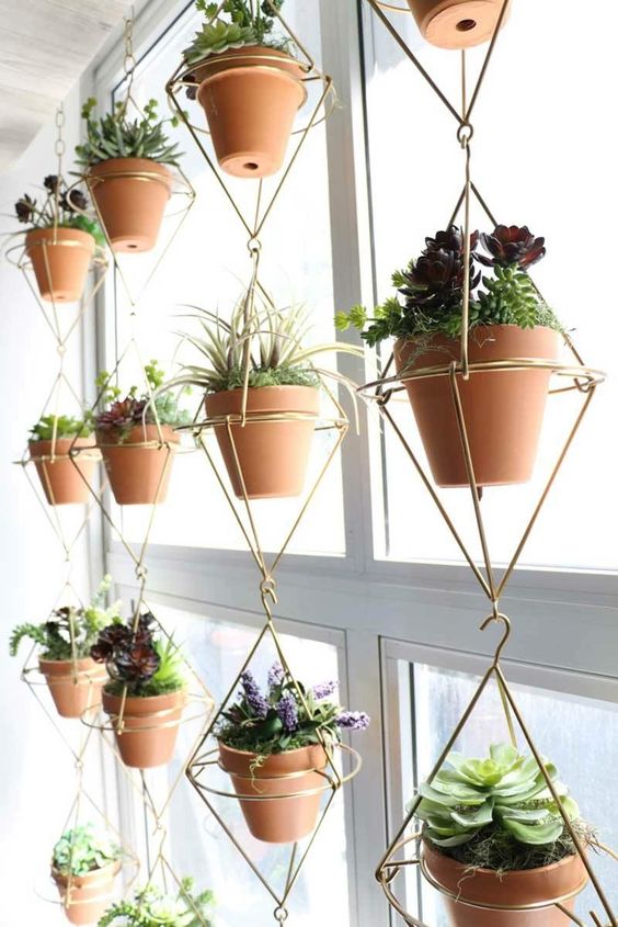 ideas-decoration-home-plants-hanging-green-beautiful