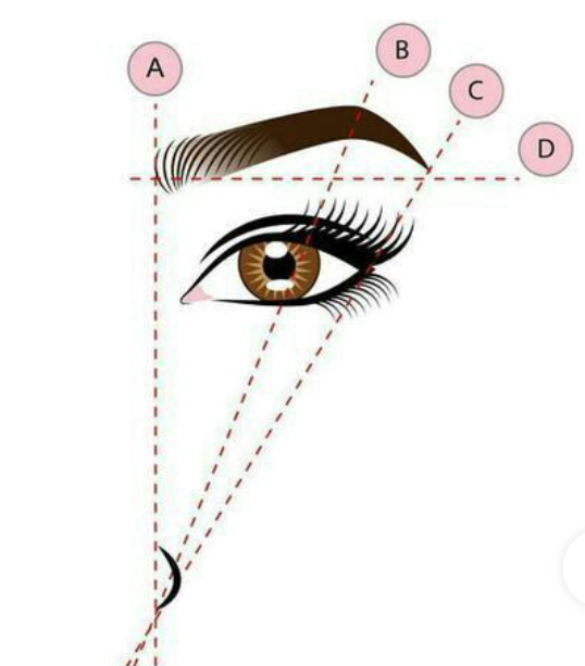 eyebrow-illustration