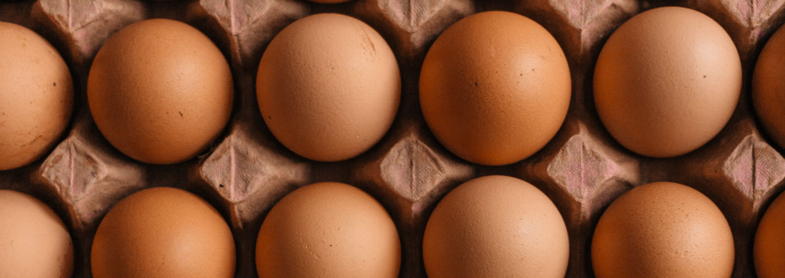zinc-deficieny-eggs-in-a-tray