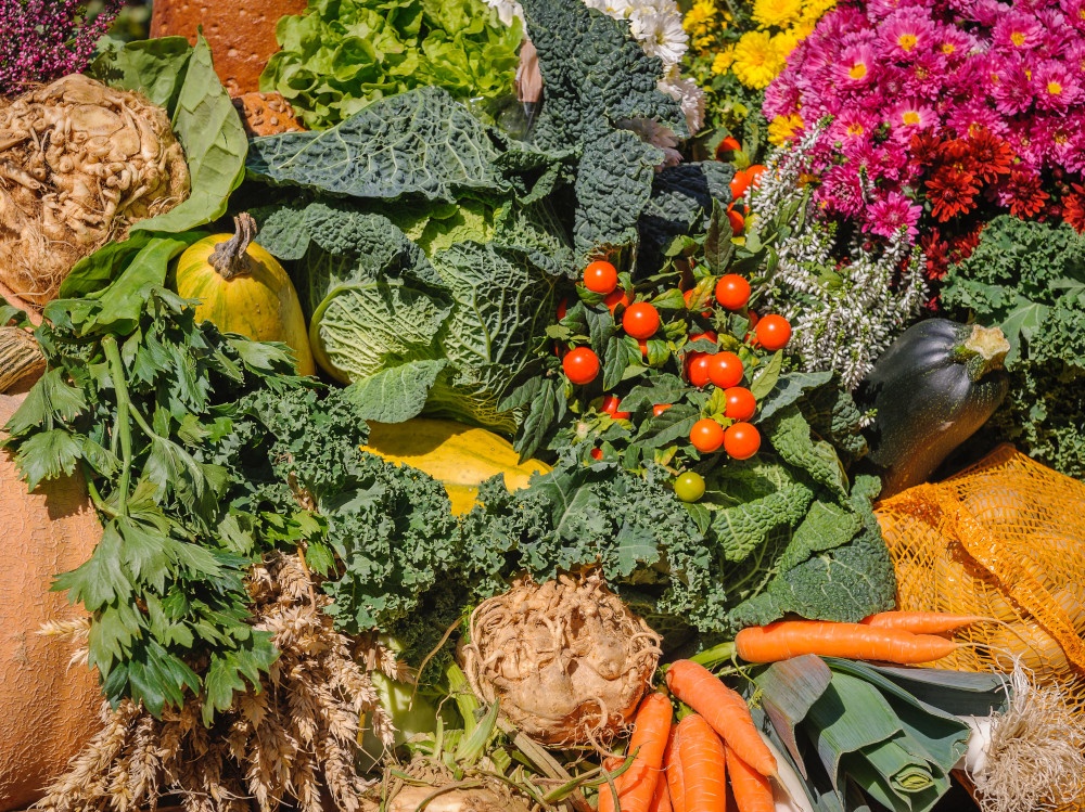 variety-of-vegetables-manganese-long-live