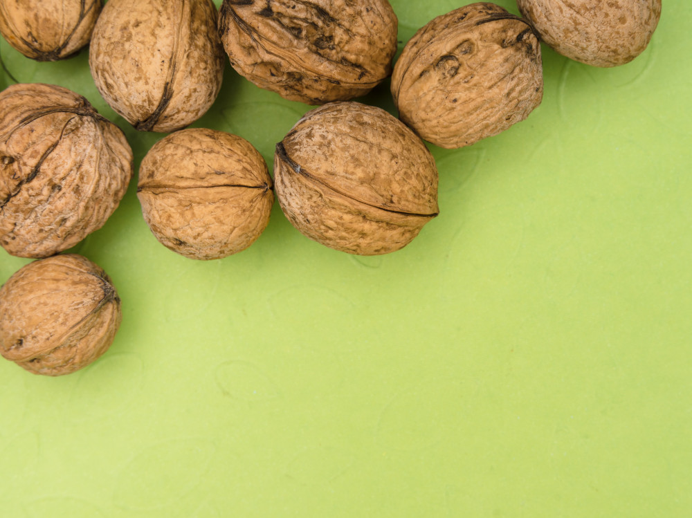 vitamin f-nuts-plants-eating-nutrition-lifestyle-source