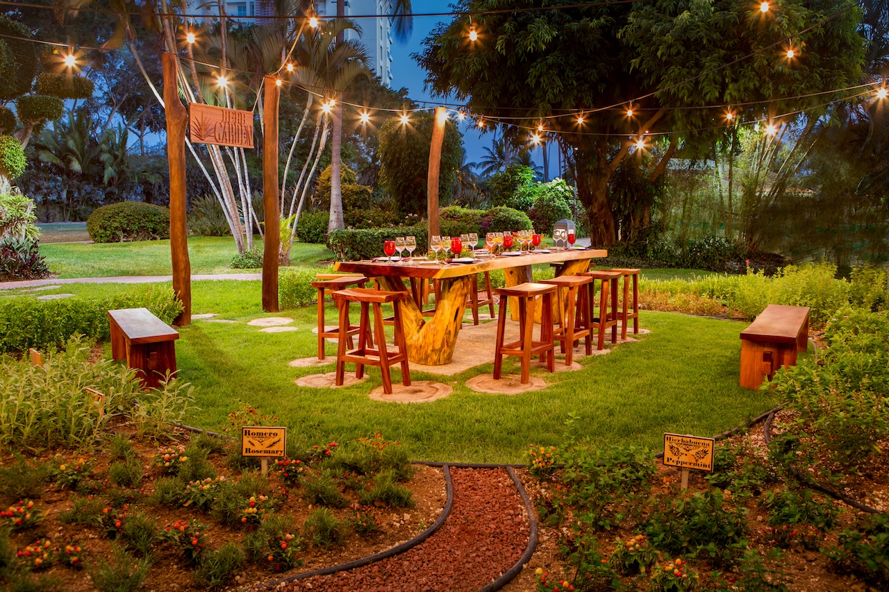 new dining experiences