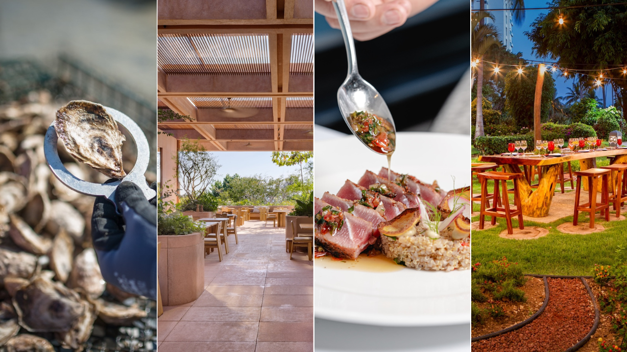 new dining experiences