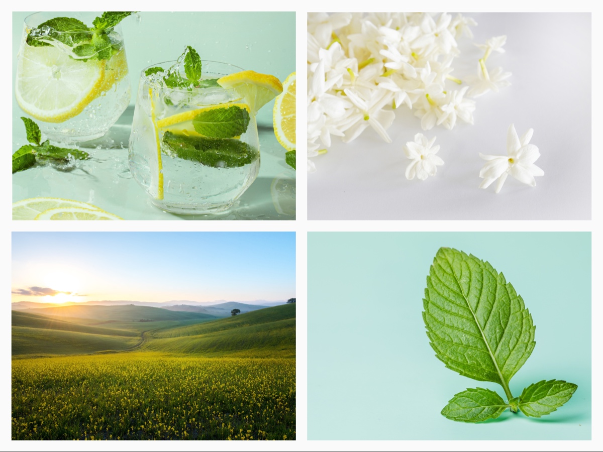 lemon-flowers-basil-greenland-collage