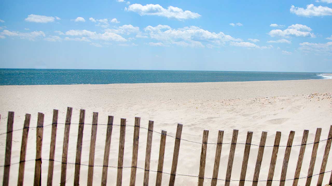 GRAZIA Gazette: Hamptons 2025 - image c/o Getty Images