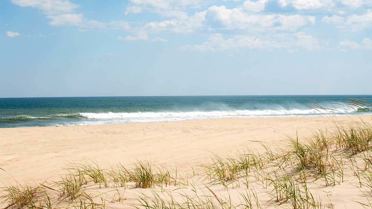 GRAZIA USA: Hamptons Summer 2025