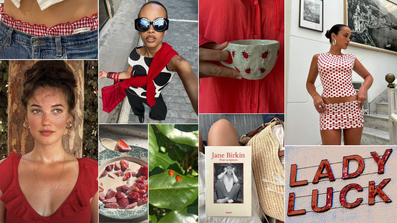 Ladybug summer aesthetic