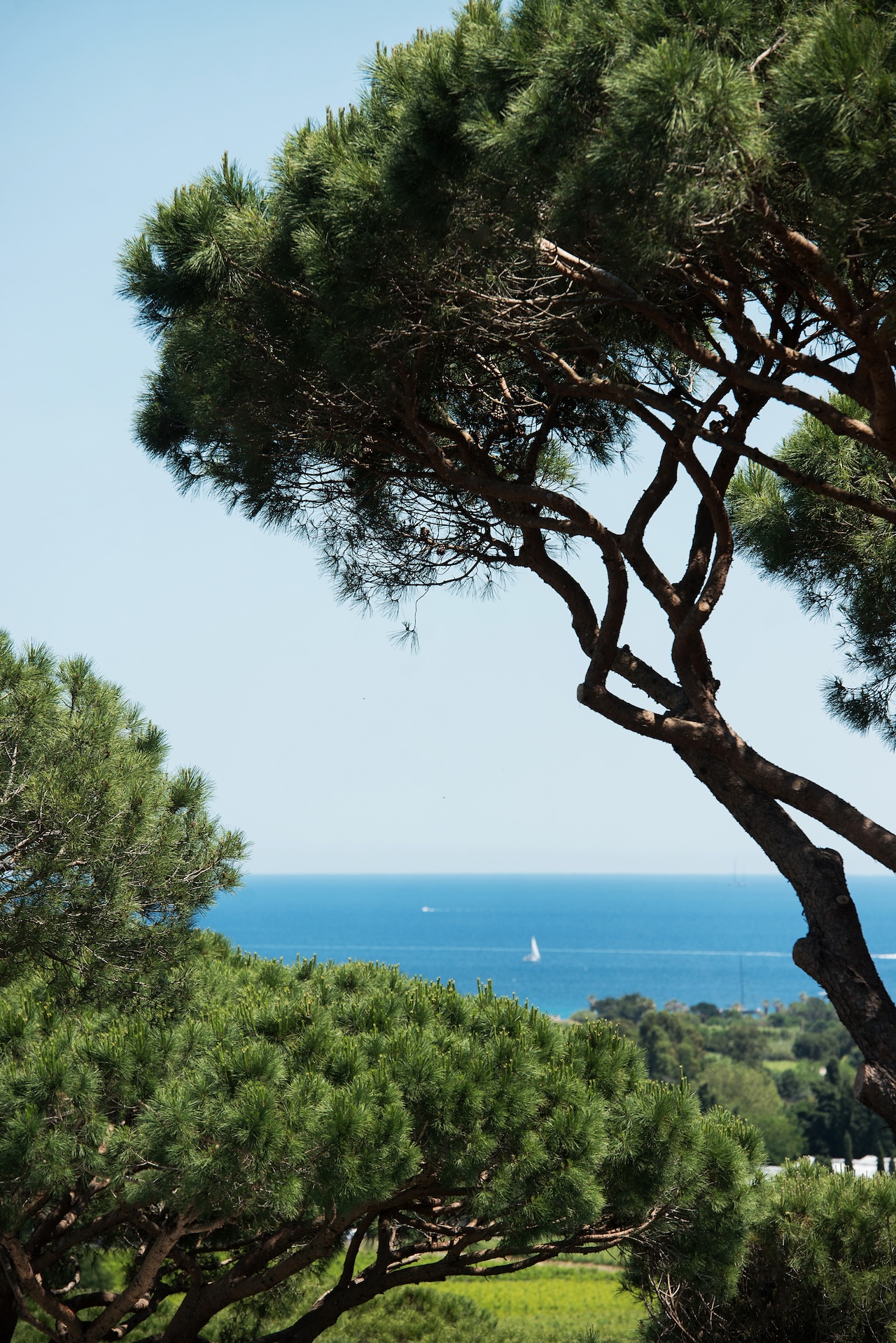 Bay of Pampelonne