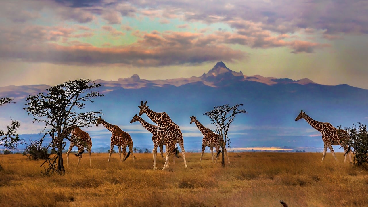 Mount Kenya
