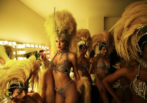 Taylor Swift 'The Life of a Showgirl' Lyrics Explained